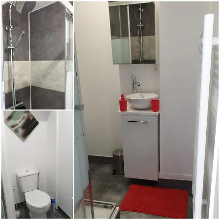 民宿 Centre - Salle De Bain, Refrigerateur, Tv Et Machine A Cafe Privatifs - Cuisine Commune - Terrasse - De A 200m 普瓦捷