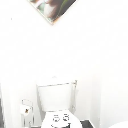 民宿 Centre - Salle De Bain, Refrigerateur, Tv Et Machine A Cafe Privatifs - Cuisine Commune - Terrasse - De A 200m 普瓦捷