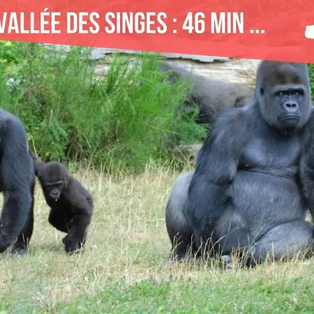 Centre - Salle De Bain, Refrigerateur, Tv Et Machine A Cafe Privatifs - Cuisine Commune - Terrasse - De A 200m