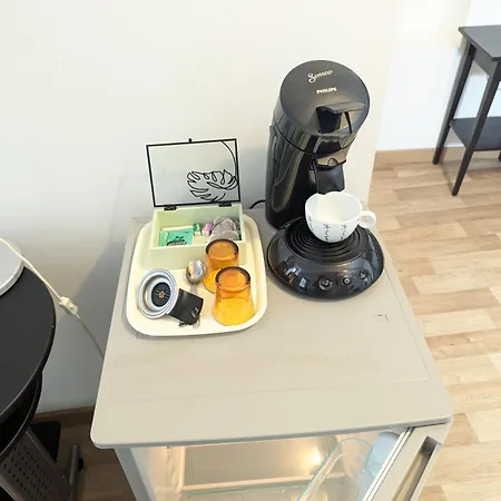 民宿 Centre - Salle De Bain, Refrigerateur, Tv Et Machine A Cafe Privatifs - Cuisine Commune - Terrasse - De A 200m